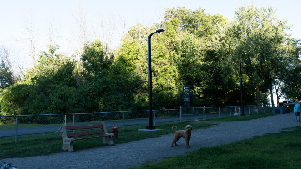 Parc Canin - Pincourt