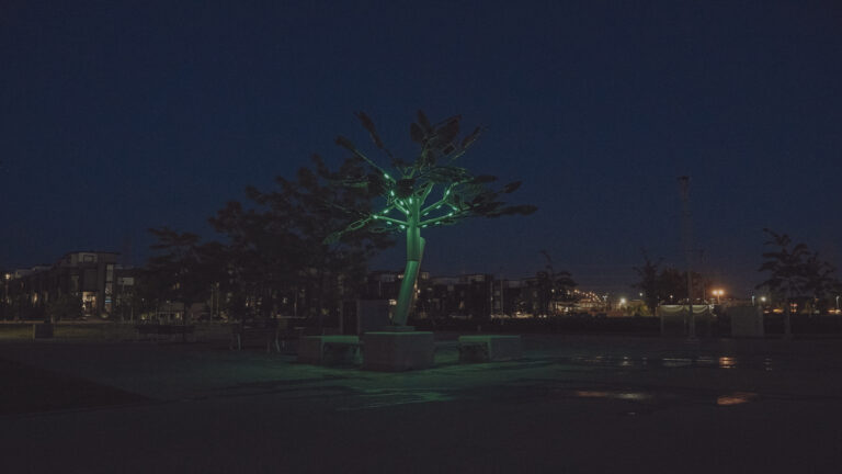 Tilia - Ville de Candiac (6)