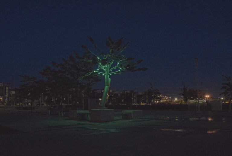 Tilia - Ville de Candiac (6)