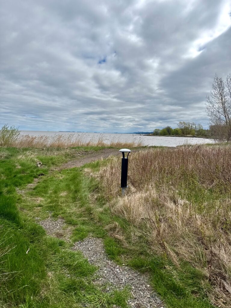 Bollard Sutton